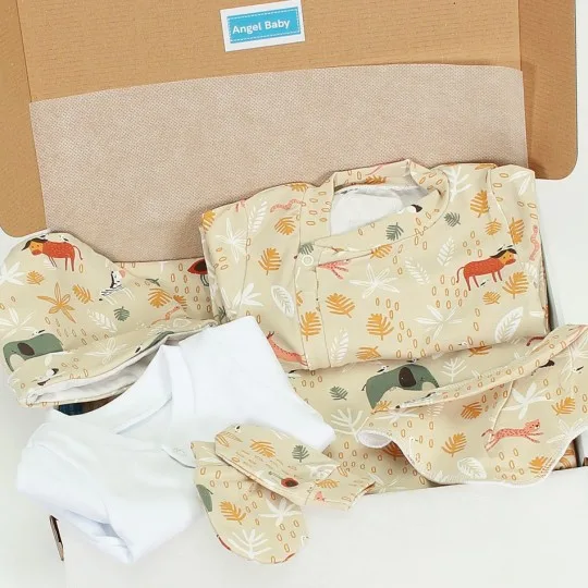Winter Welcome Baby Set...