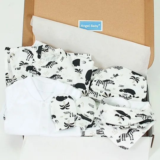Winter Welcome Baby Set...