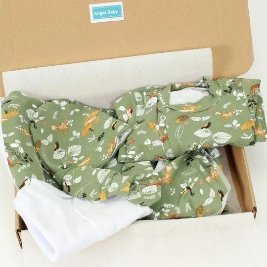 Winter Welcome Baby Set...