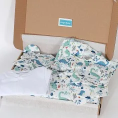 Winter Welcome Baby Set...