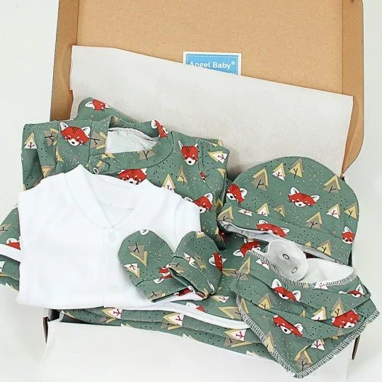 Winter Welcome Baby Set...