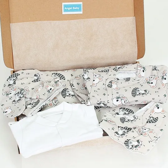 Winter Welcome Baby Set...