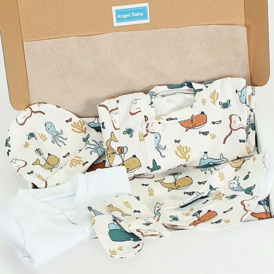 Winter Welcome Baby Set...