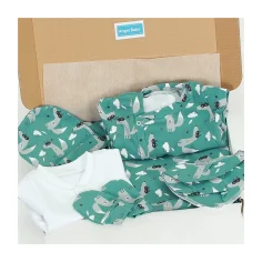 Winter Welcome Baby Set...