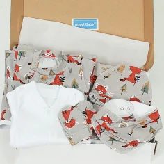 Winter Welcome Baby Set...